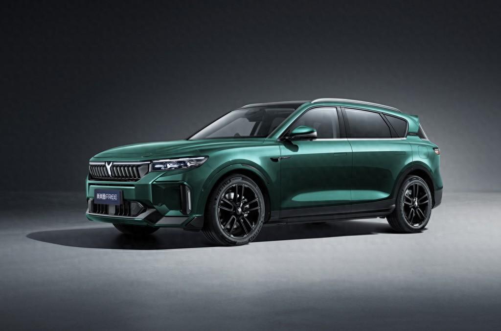 想買輛高品質新能源SUV? 選嵐圖FREE還是領克08